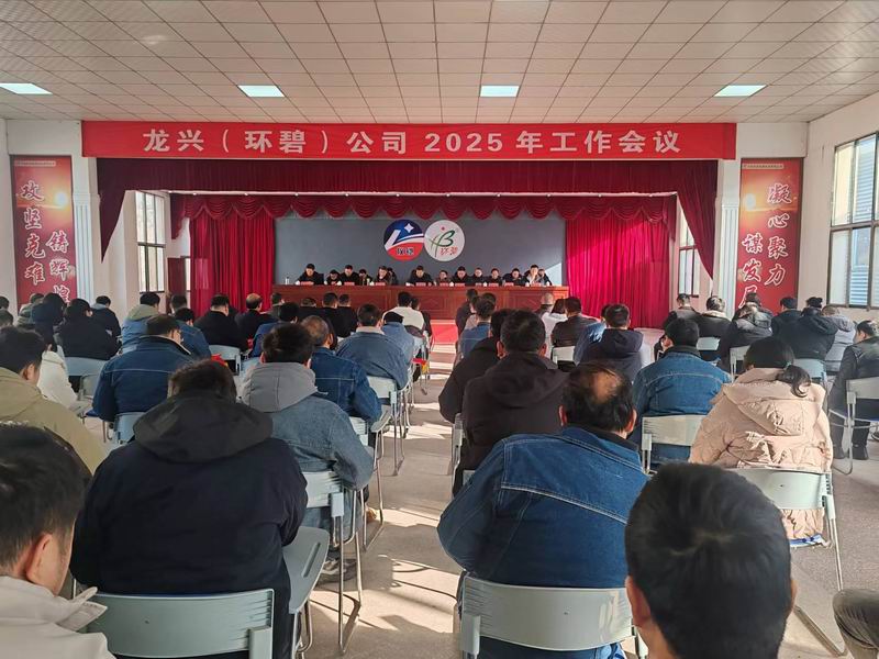 龙兴（玩球通(中国)）公司召开2025年工作会议